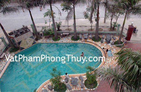 Cách dùng bể cá cảnh để tăng vận đào hoa cho người độc thân