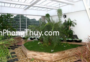 Phong thủy vườn cho nhà phố