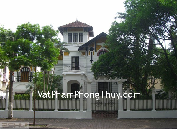 Cây hoa hòe nên trồng phía trước nhà để được may mắn