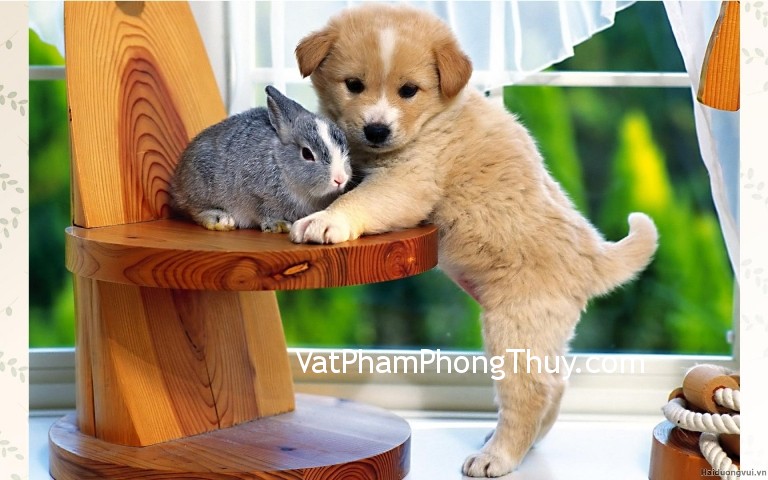 Chọn vật nuôi mang lại thịnh vượng cho gia chủ