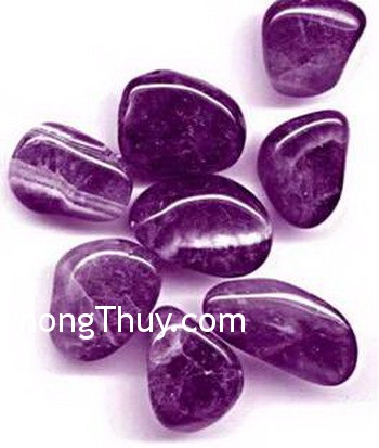 Ứng dụng nghệ thuật đá cảnh vào nhà ở
