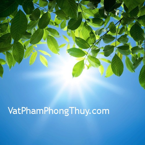 Vai trò của ánh sáng trong phong thủy
