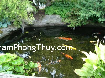 Phong thủy cho ao hồ trong vườn