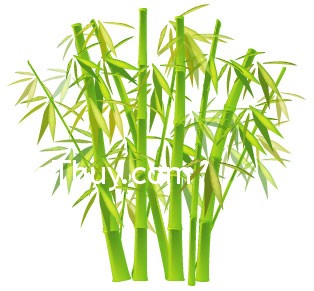 Cây tre - Biểu tượng tài lộc trong phong thủy