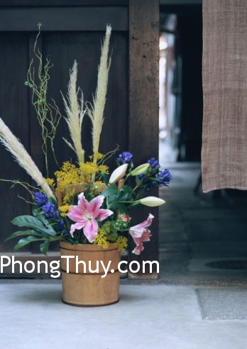 Cách chưng hoa theo phong thủy