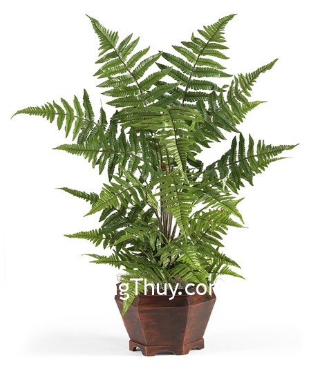 Mẹo phong thủy mang lại sự giàu có