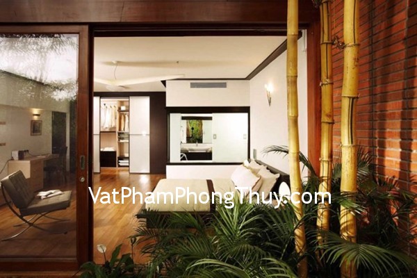Dùng cây xanh giảm xung hại cho nhà ở