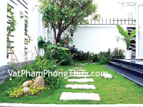 Trồng cây xanh trong vườn theo nguyên tắc phong thủy