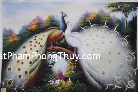 Ý nghĩa của lông chim công trong phong thủy