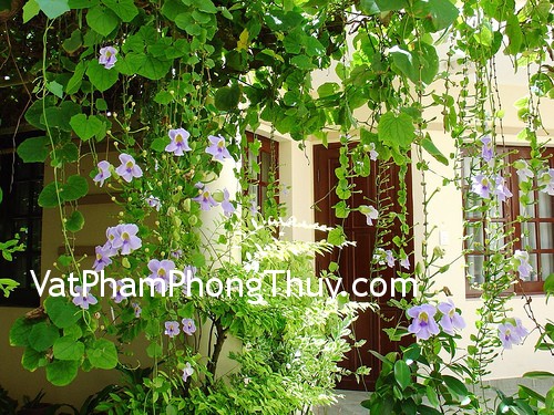 Phong thủy nhà ở và 10 đại kị cần biết