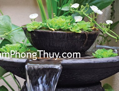 Đem nước vào nhà thêm tài lộc