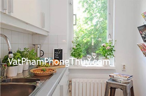 Cách trồng cây trong bếp hợp phong thủy
