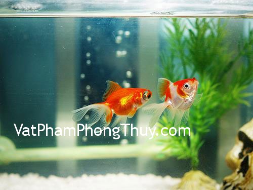 Những kiêng kị phong thủy trong phòng ngủ vợ chồng mới cưới