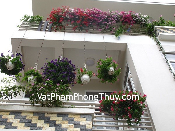 Trồng cây cảnh hóa giải phong thủy xấu cho ban công