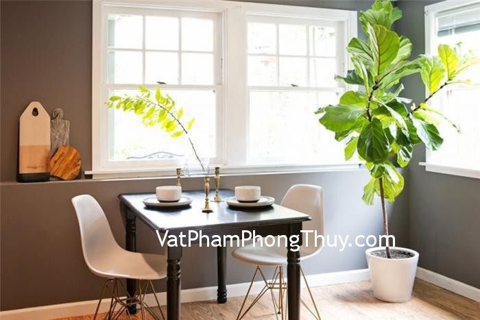 Bí quyết phong thủy kích hoạt tài vận cho gia chủ