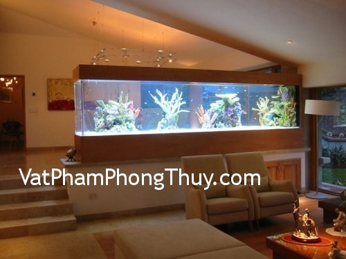 Vị trí đặt hồ cá treo tường để được may mắn