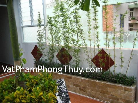 Trồng cây trước nhà như thế nào để được may mắn ?