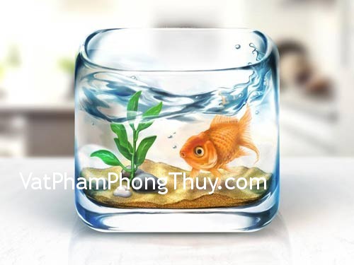 Chọn phương vị để tăng cường cho sự nghiệp, hôn nhân