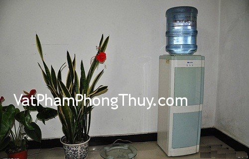 Chọn vị trí đặt bình uống nước đem lại may mắn và sức khỏe