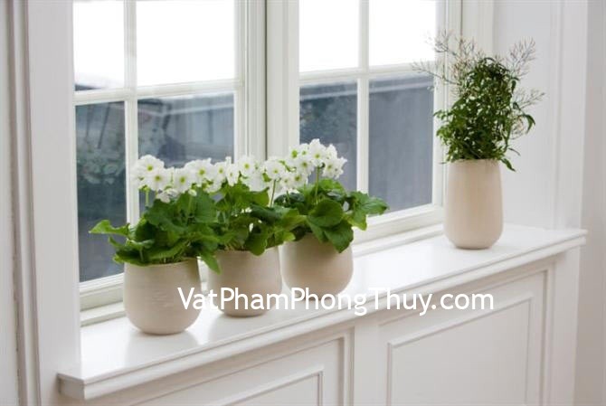 Cách trang trí nhà theo mệnh gia chủ đem lại may mắn