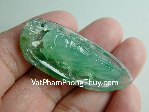 Ve sầu và rùa - Biểu tượng của sự trẻ trung và bất tử