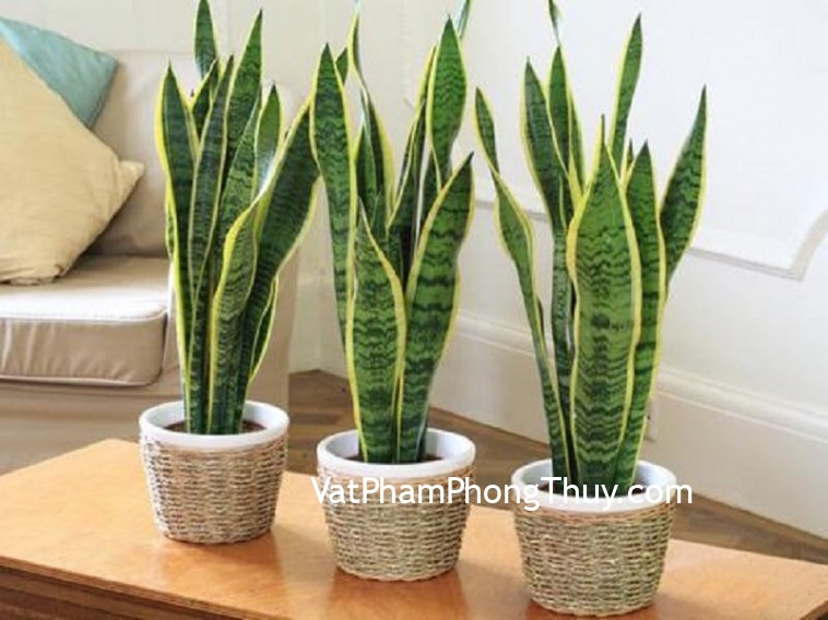 Những cách bày biện nhà ở chỉ khiến Thần Tài mãi rời xa nhà bạn