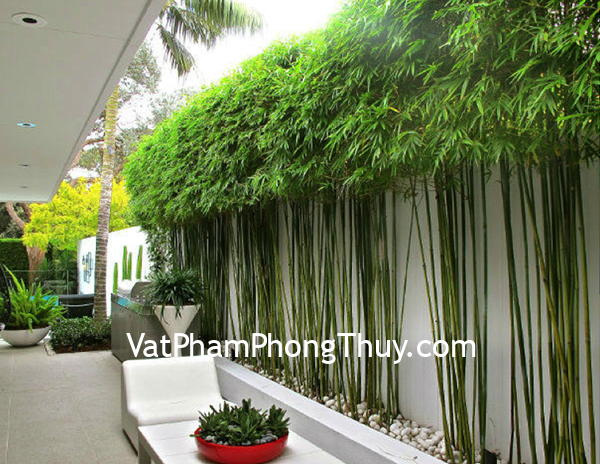 Trồng cây đúng hướng tăng thêm nguồn tài lộc cho nhà ở