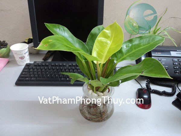 Sơ lược những vật phẩm văn phòng có ích có sự nghiệp