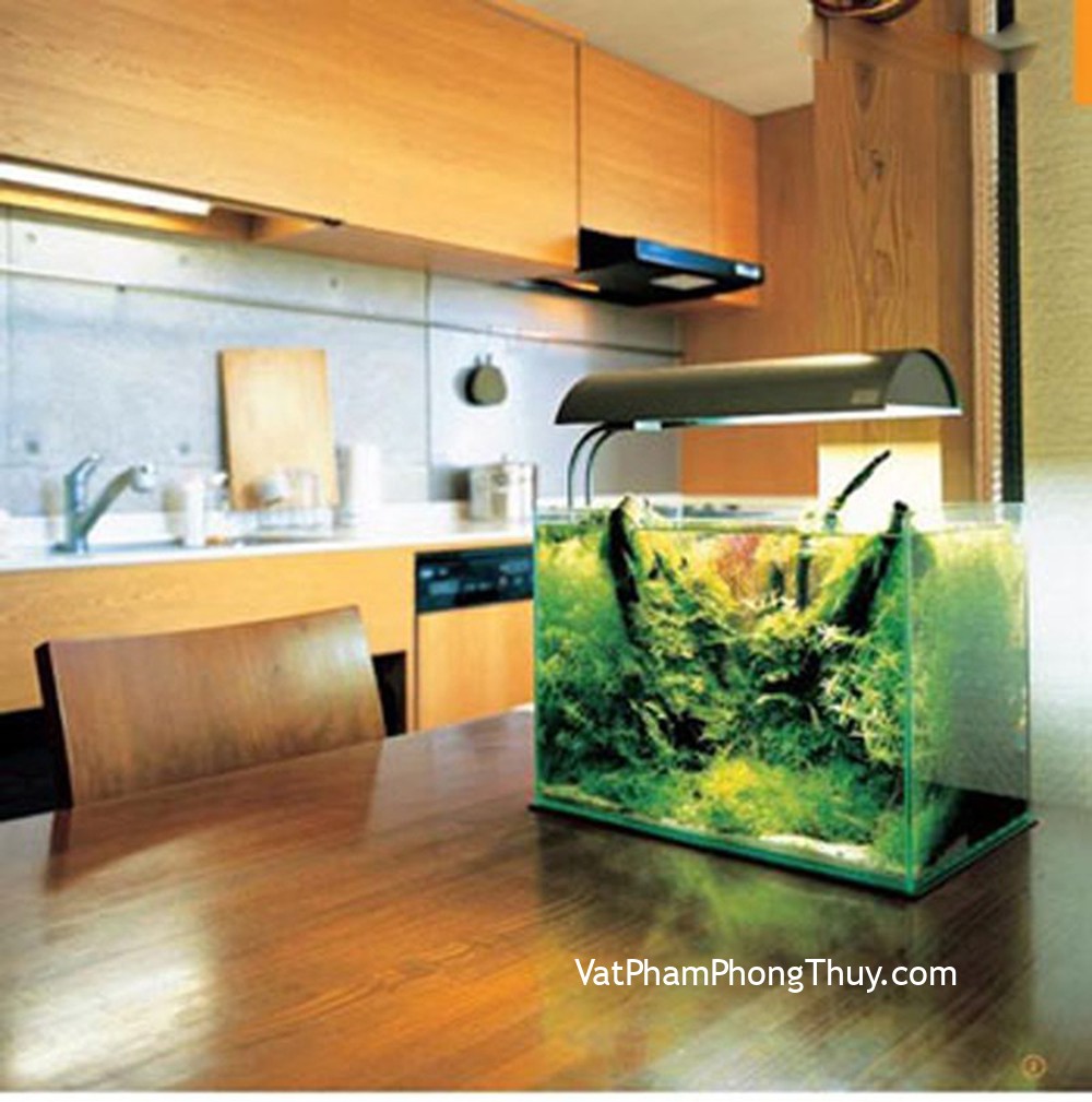 Phong thủy cho giếng trời trong nhà ở có thêm nhiều tài lộc