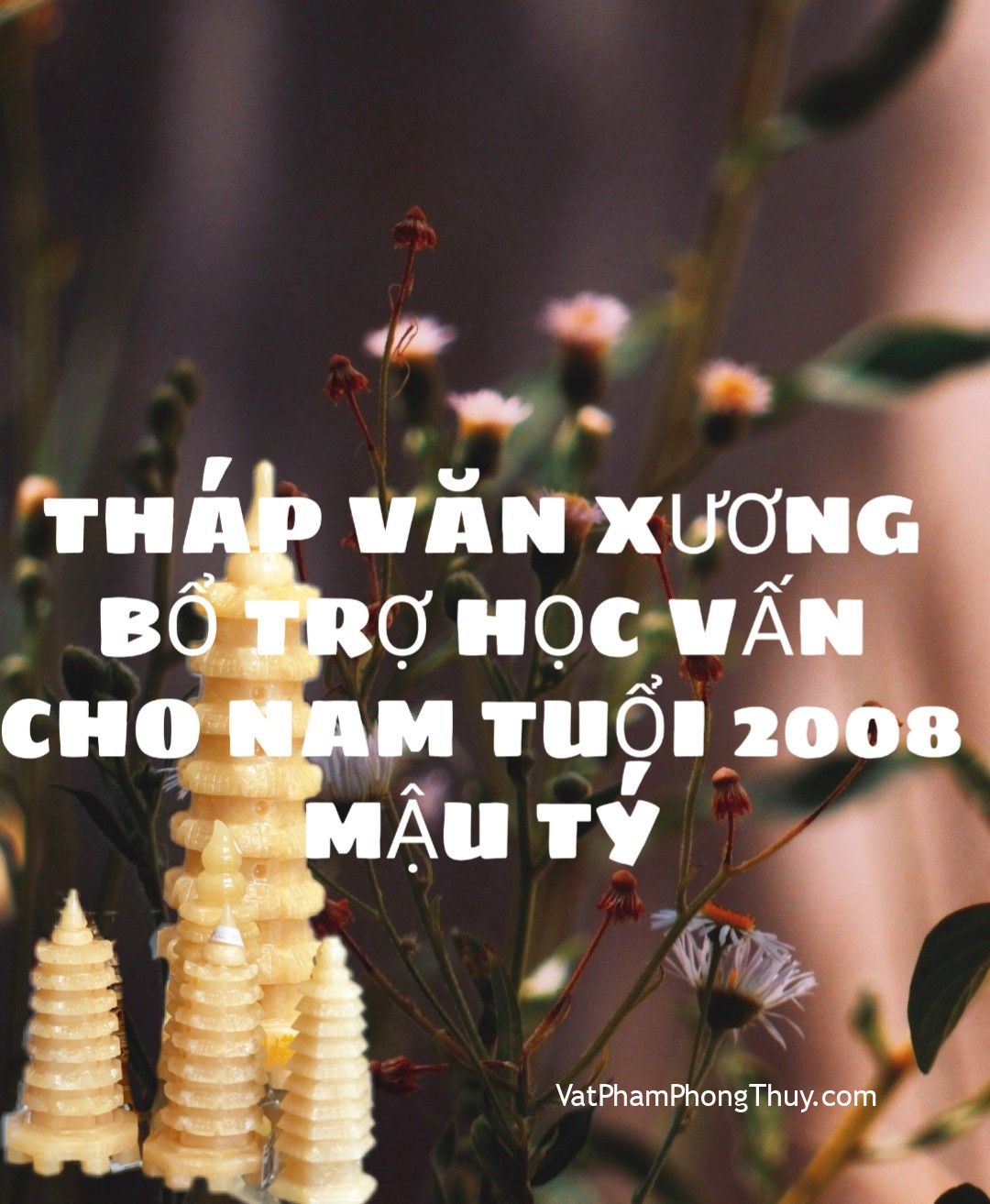 [Video]Tháp Văn Xương bổ trợ học hành cho nam 2008 Mậu Tý| Ep 46 - [Tỉ Tỉ Chuyện Phong Thủy]