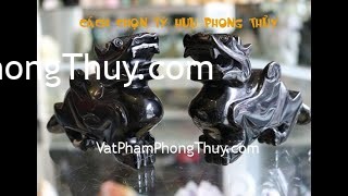 [Video] Hướng dẫn cách chọn tỳ hưu chuẩn phong thủy