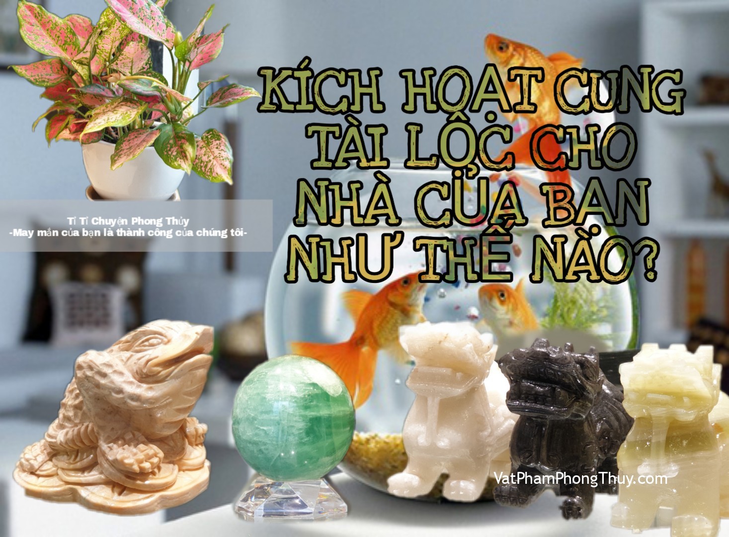 [Video] Kích hoạt cung Tài Lộc trong công ty, cửa hàng kinh doanh hay nhà ở bằng cách nào? Ep32 [Tỉ Tỉ Chuyện Phong Thủy]