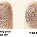 5dk8ye-20170322-tu-so-luong-hoa-tay-co-the-biet-duoc-van-menh-mot-nguoi-la-tot-hay-xau
