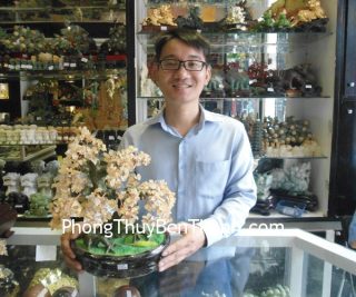 Anh Cao Hải - khách hàng mua cây tài lộc thạch anh vàng CA228