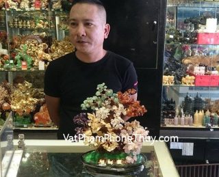 Anh Quang - Khách hàng mua cây tài lộc 6 màu HCA258