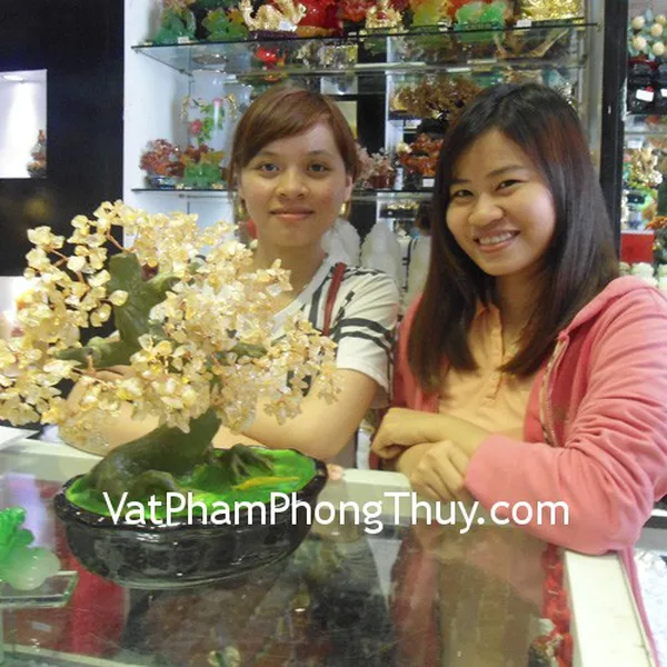 Chị Nghĩa - khách hàng mua cây tài lộc thạch anh vàng CA203