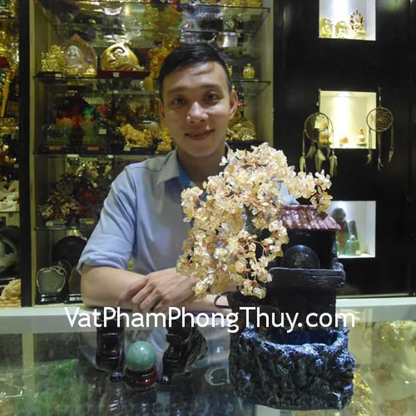 Anh Nghĩa - khách hàng mua cây tài lộc HCA255, tỳ hưu thạch anh đen HM012 và cầu ngọc đông linh HM158-431
