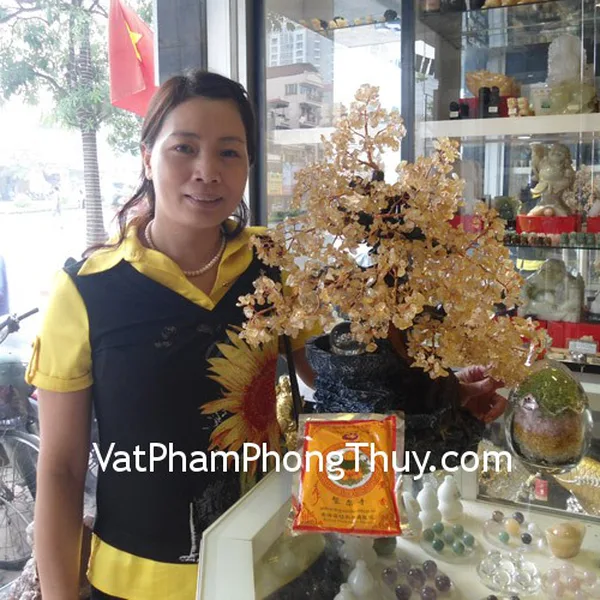 Chị Kim Anh - khách hàng mua cây tài lộc thạch anh vàng, hồ lô ngũ hành lớn, trứng ngũ hành và bột tẩy uế