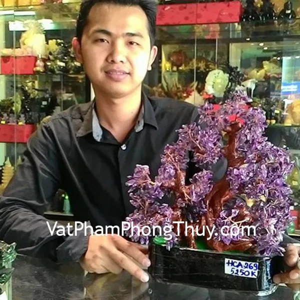Anh Vỹ - Khách hàng mua Cây tài lộc thạch anh tím HCA269 và Chuỗi phỉ thúy S984