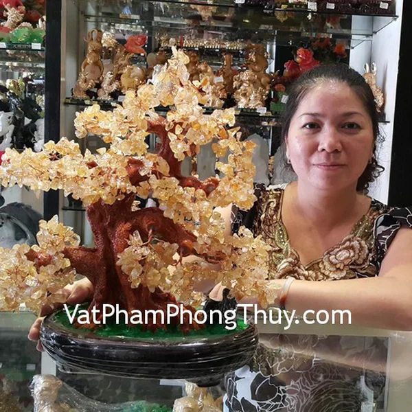 Chị Tuyền - khách hàng mua cây tài lộc thạch anh vàng KC031