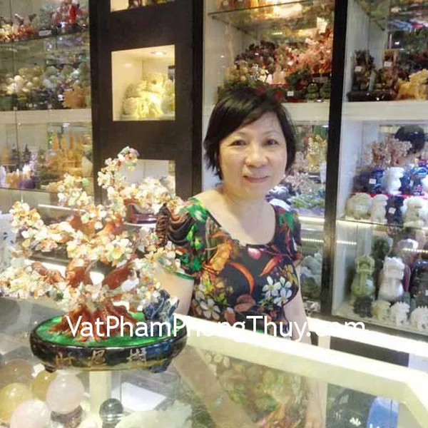 Cô Phụng - khách hàng mua Cây tài lộc nhiều màu KC003
