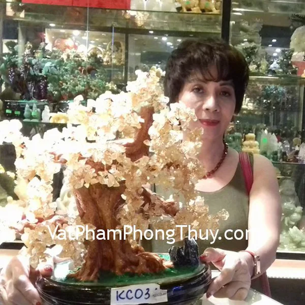 Cô Thủy - Khách hàng mua cây tài lộc thạch anh vàng