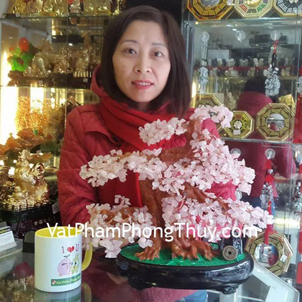 Chị Thảo- khách hàng mua cây tài lộc thạch hồng KC034