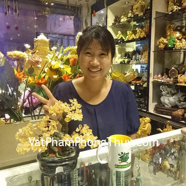 Chị Ngọc - khách hàng mua cây tài lộc thạch anh vàng KC82