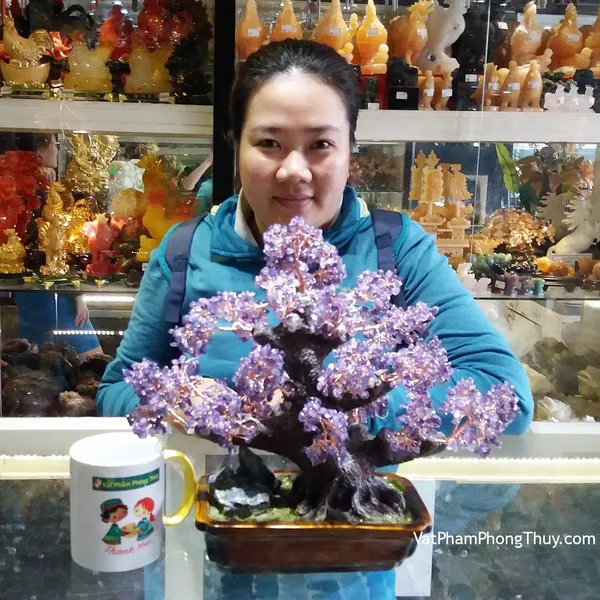 Chị Tiên - khách hàng mua Cây tài lộc thạch anh tím KC070
