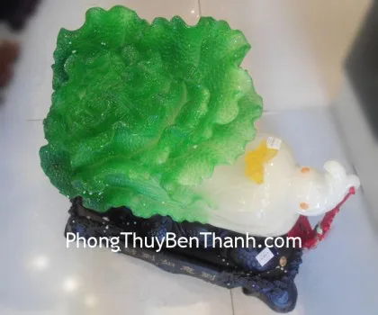 Bắp cải tài đáo như ý đáo xanh ngọc lớn Y322