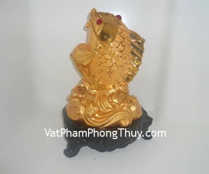 Cá đại dư đại lợi vàng FY158