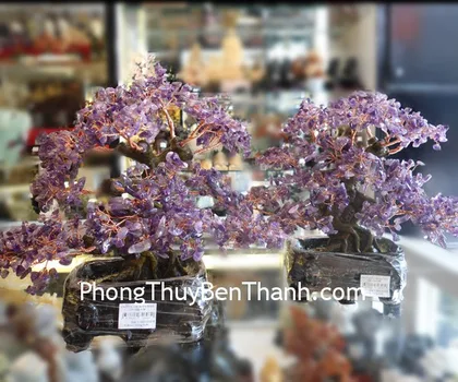 Cây mã não đỏ đế thạch anh trắng C0014