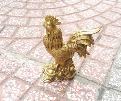 Gà đồng đỉnh vàng D254