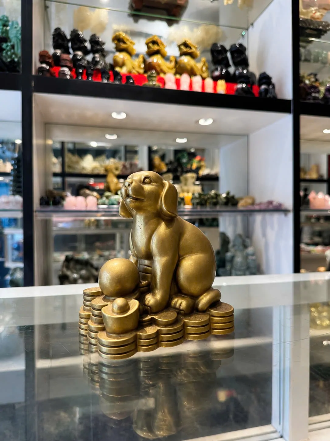 Chó dễ thương (trung) D275